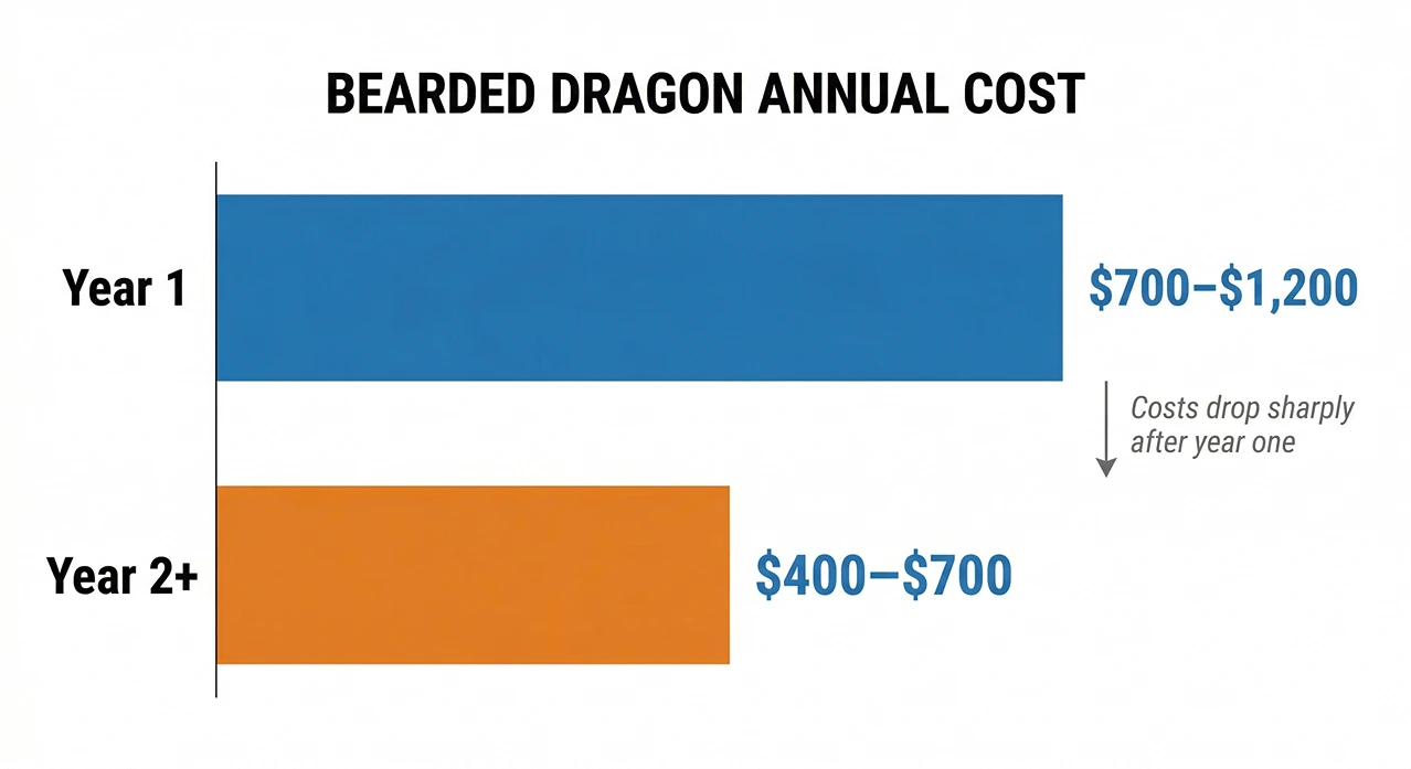 Horizontal bar chart showing bearded dragon Year 1 cost of $700–$1,200 versus Year 2+ cost of $400–$700