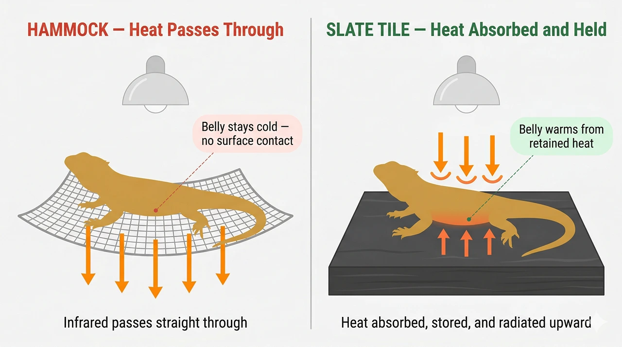 Diagram comparing heat flow through a mesh hammock versus absorption by a slate tile as a bearded dragon basking surface