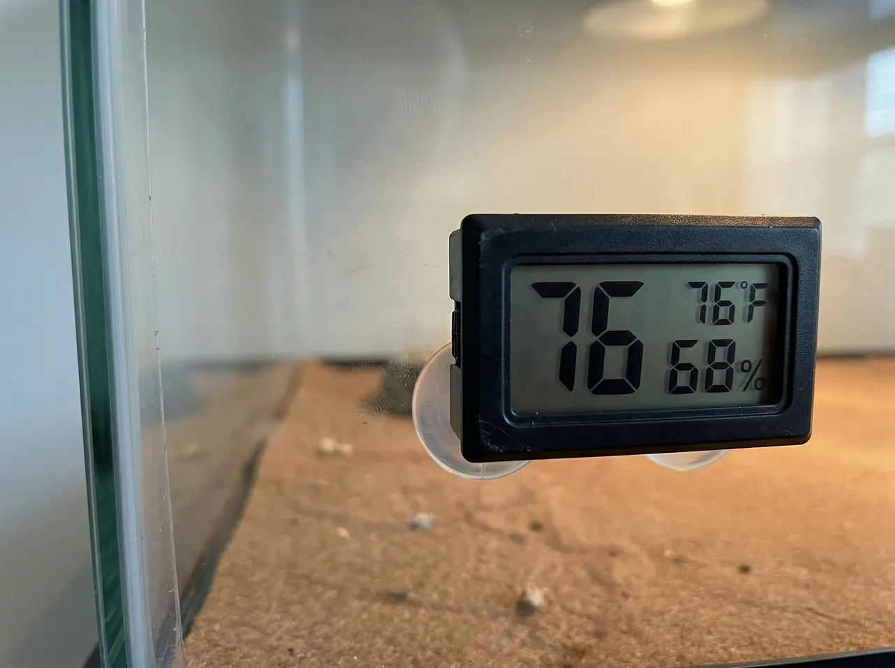 Digital hygrometer on enclosure glass showing 76°F and 68% humidity, the danger-zone combination for bearded dragon respiratory infection