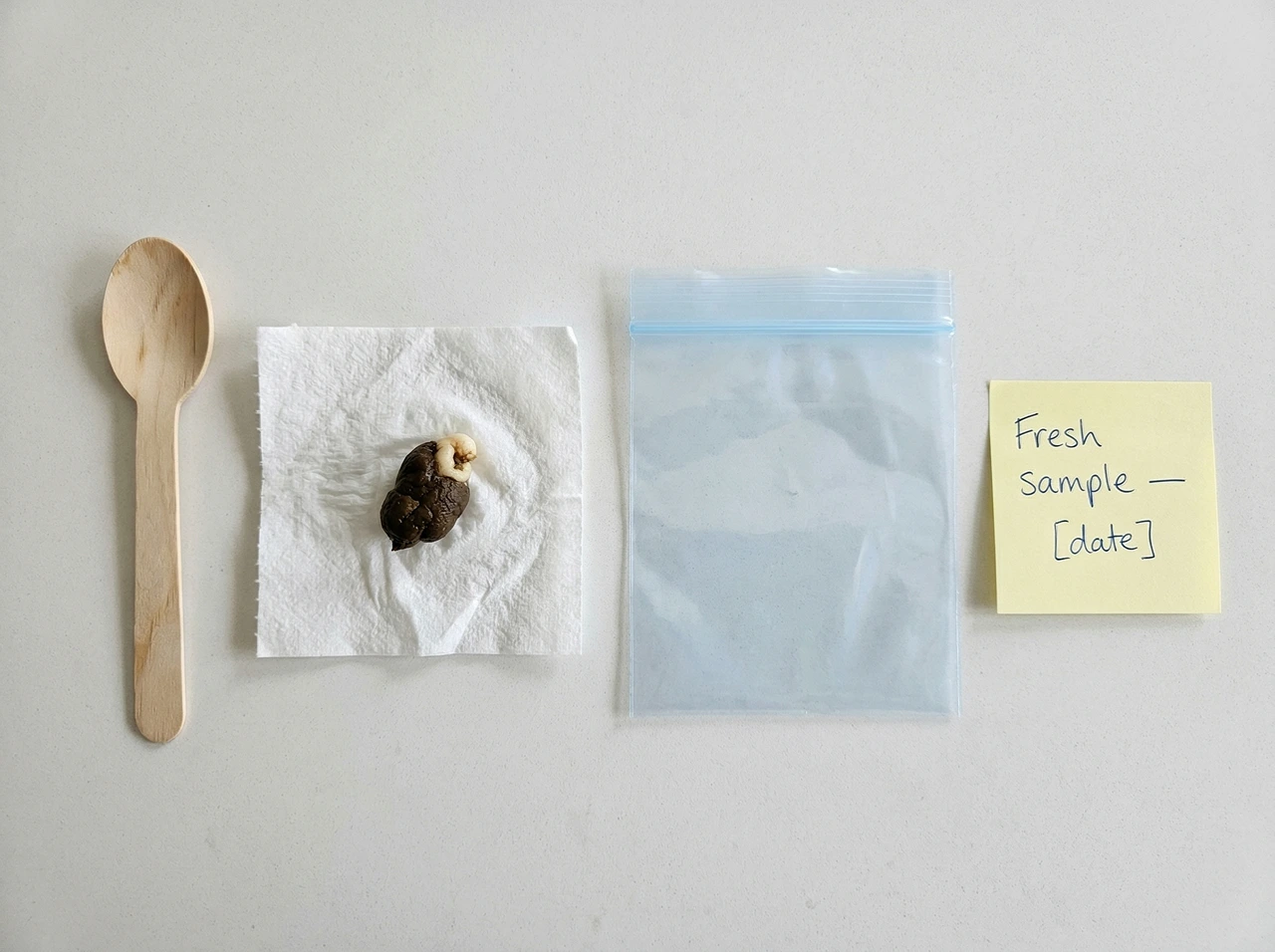 Bearded dragon fecal sample kit with wooden spoon, stool on paper towel, open zip-lock bag, and dated sticky note