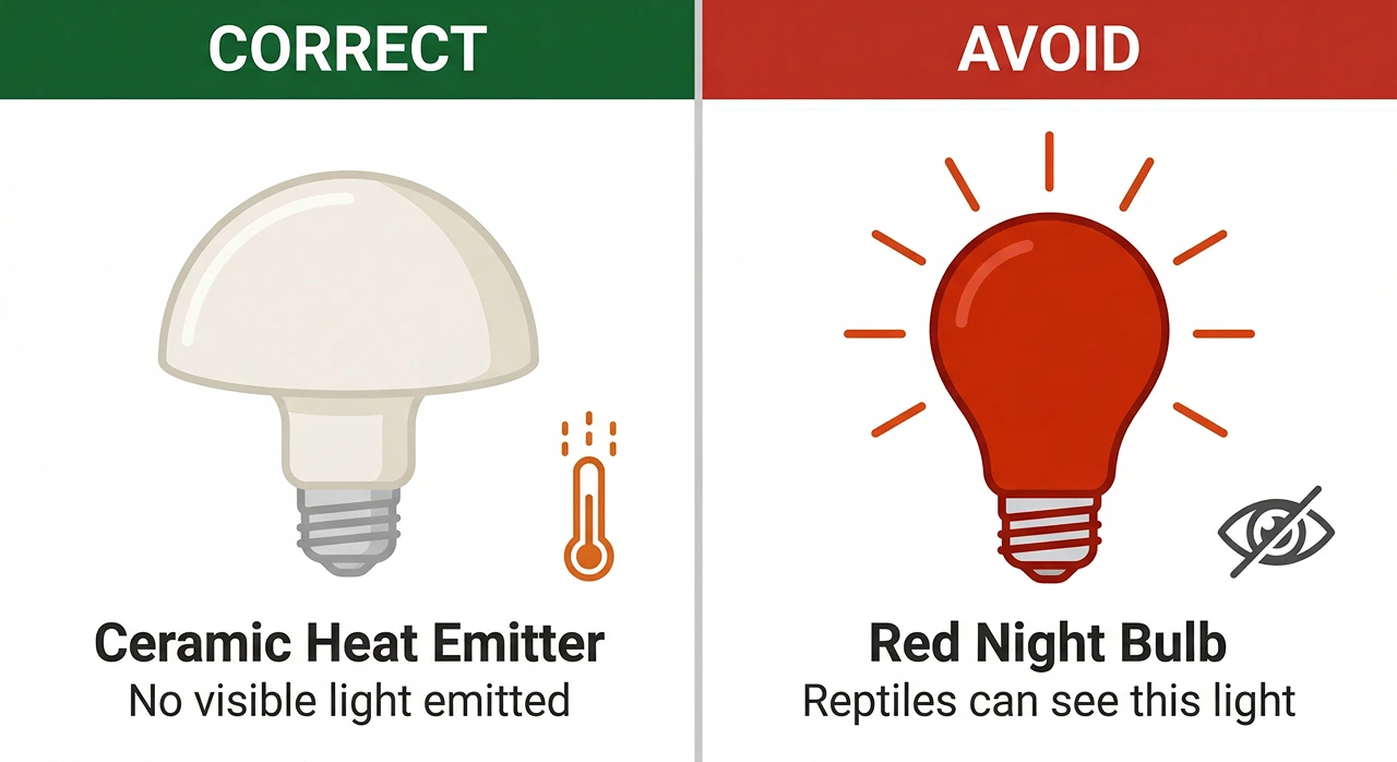 Comparison illustration showing ceramic heat emitter labelled correct and red night bulb labelled avoid for bearded dragons