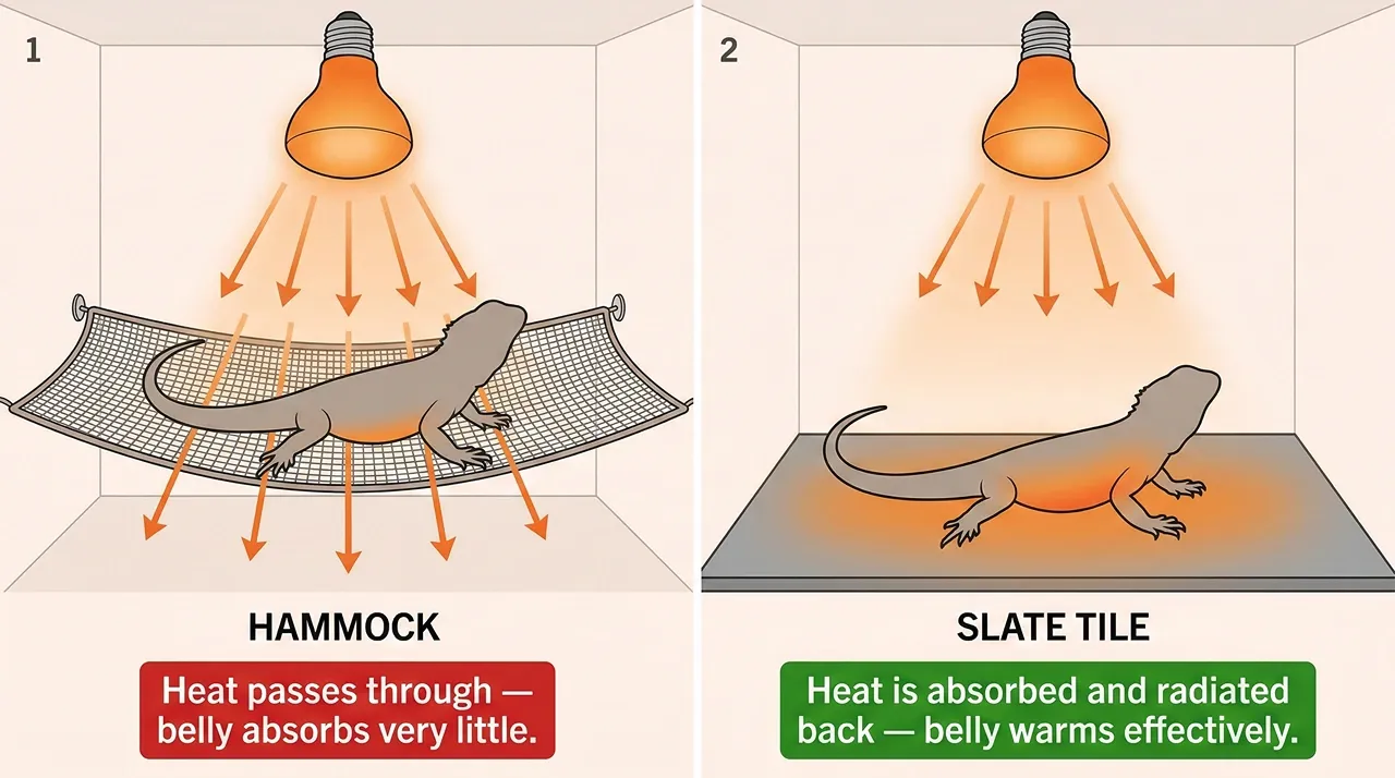 A two-panel diagram comparing bearded dragon basking surfaces. It shows heat rays passing straight through a mesh hammock, while a solid slate tile absorbs the heat and radiates it back into the dragon's belly.