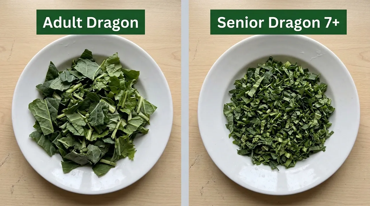 Two white dishes of bearded dragon greens side by side: the adult portion on the left with larger irregular leaf pieces, and the senior portion on the right chopped finely to reduce jaw strain and support digestive efficiency in dragons over 7 years old.