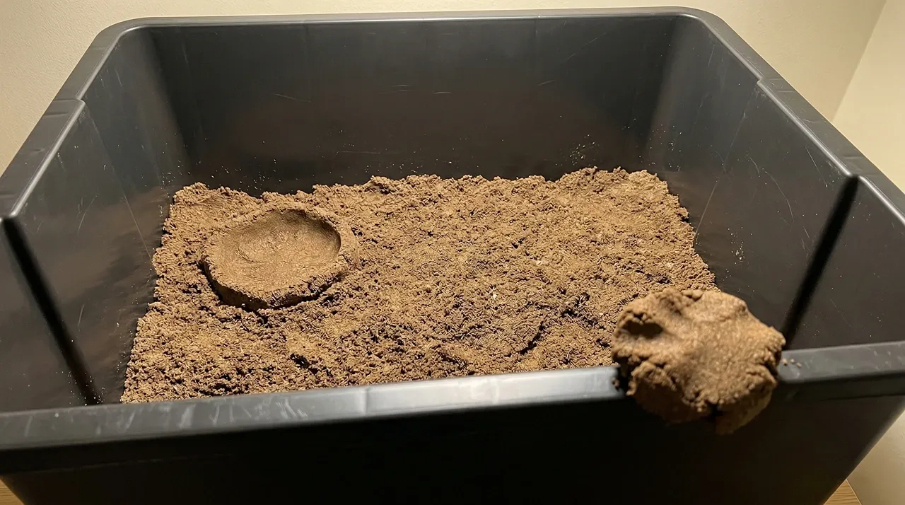 A correctly prepared bearded dragon lay box showing a deep substrate mix of topsoil and play sand, a compressed test clump on the rim demonstrating correct moisture, and a shallow test depression confirming the substrate holds a burrow.