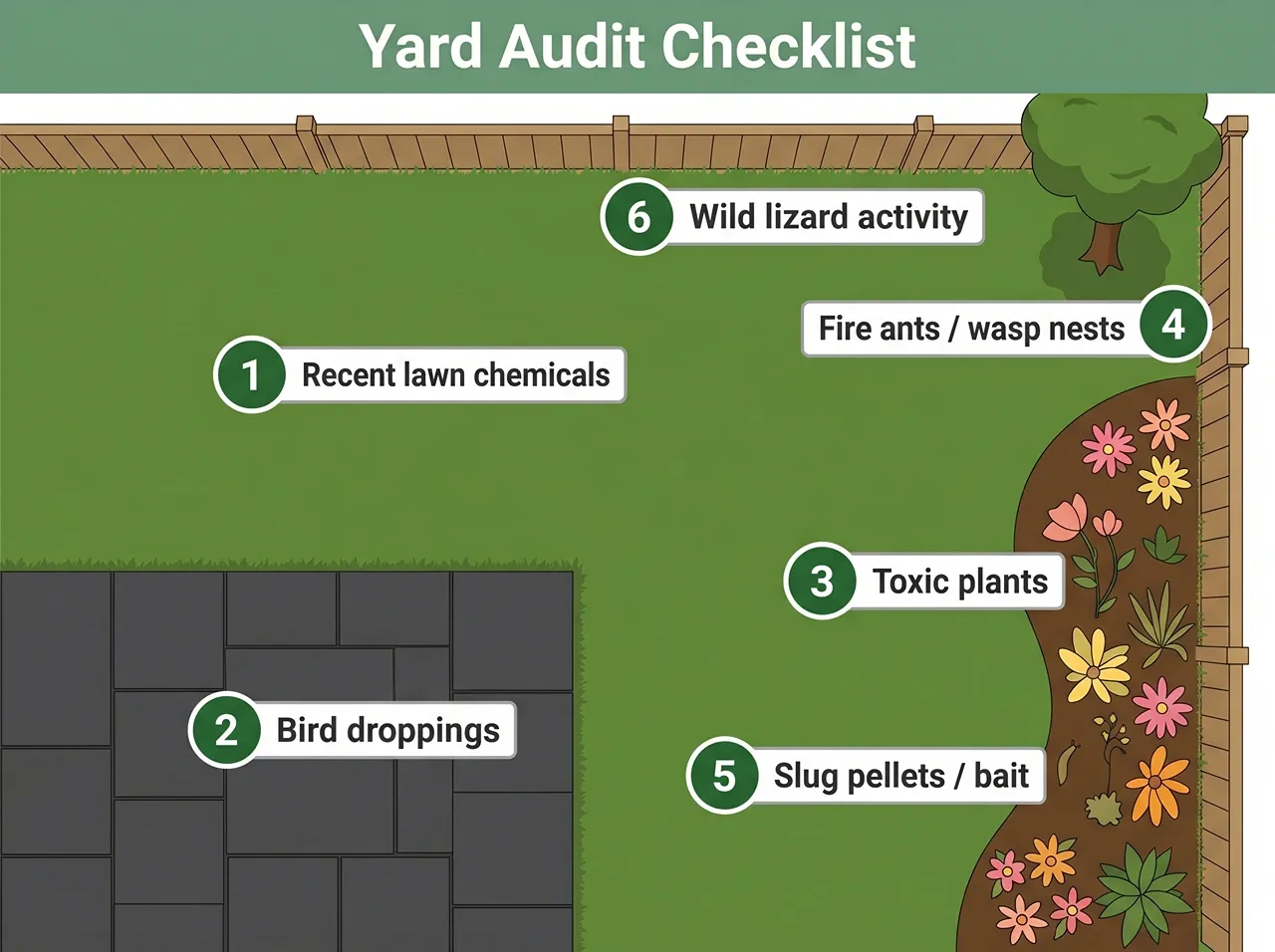 Top-down illustrated garden map showing six hazards to check before letting a bearded dragon outside