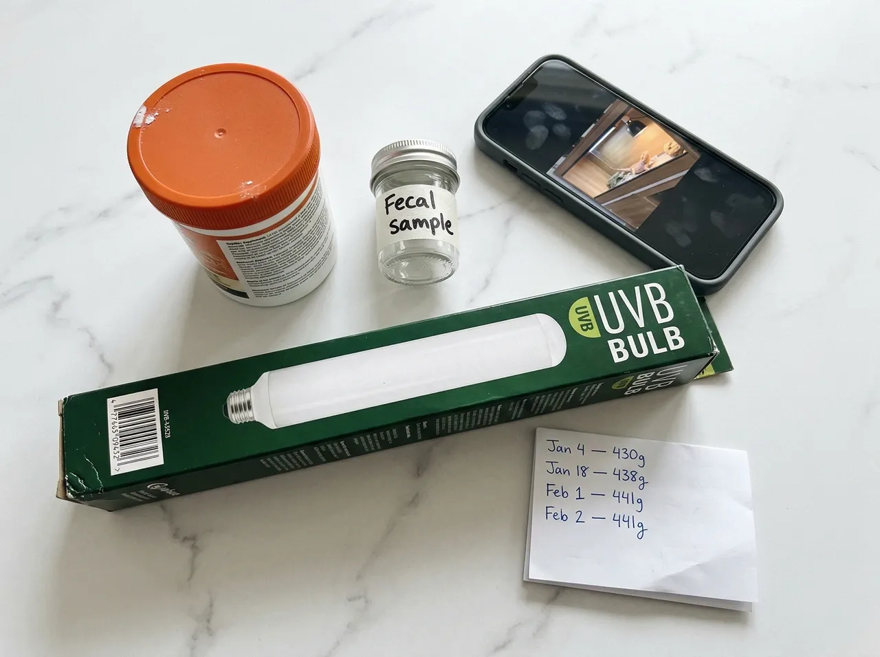 Flat-lay of bearded dragon vet appointment items including a labeled fecal sample jar, supplement tub, UVB bulb box, phone with enclosure photo, and weight log