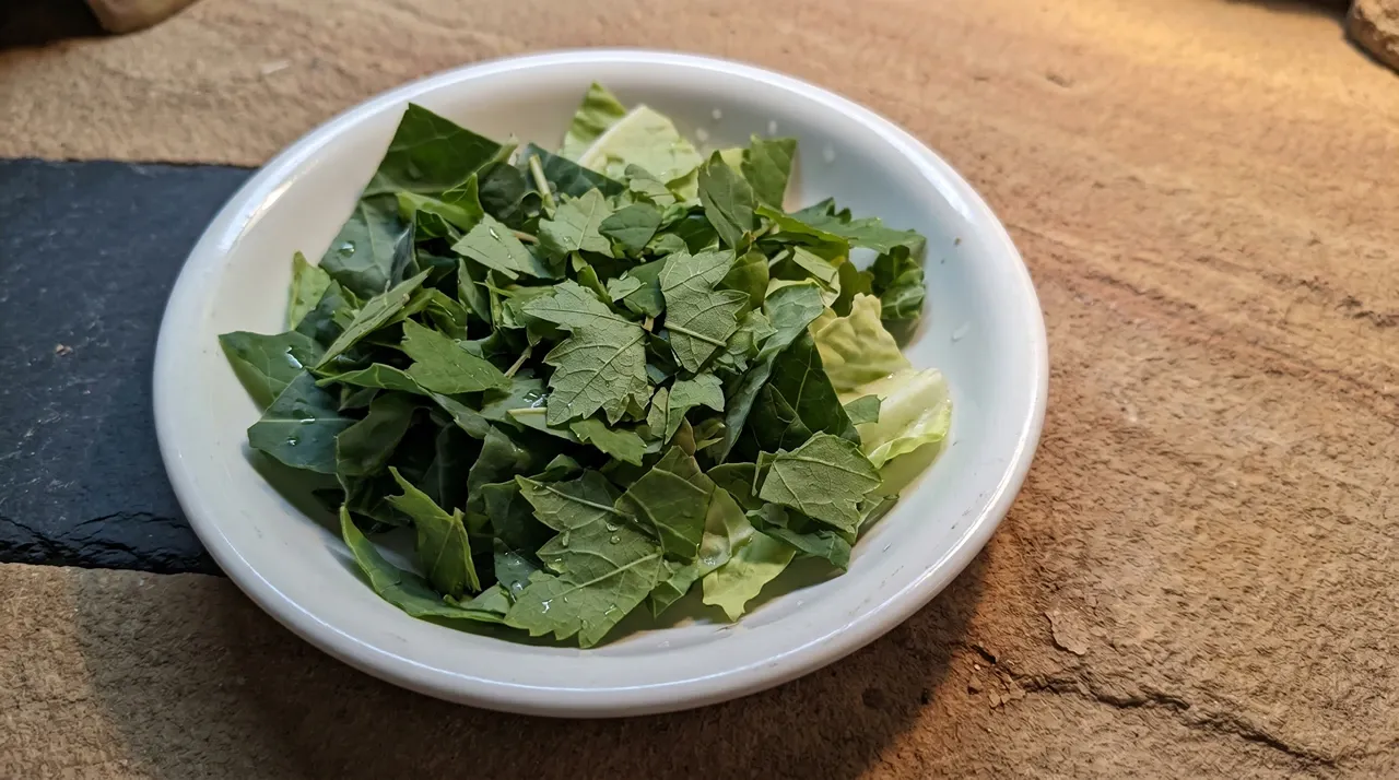 Chopped fresh grape leaves mixed into a dish of leafy greens for a bearded dragon